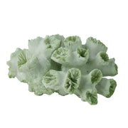 Coral Resin Sculpture 16x14x8cm Mint - Coast to Coast