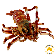 Crayfish Plush Toy