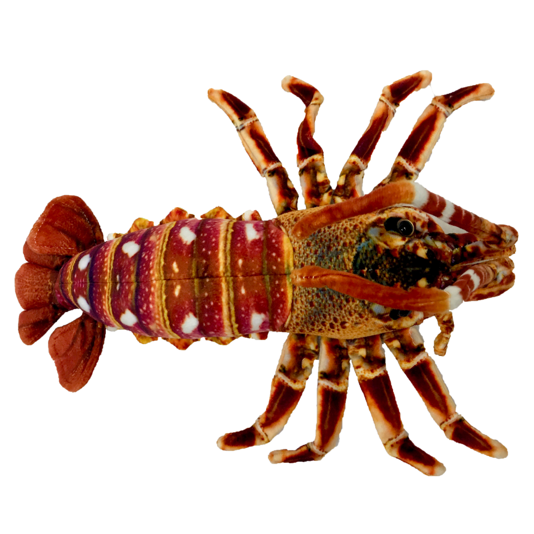 Crayfish Plush Toy