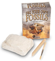 Dig Your Own Fossil