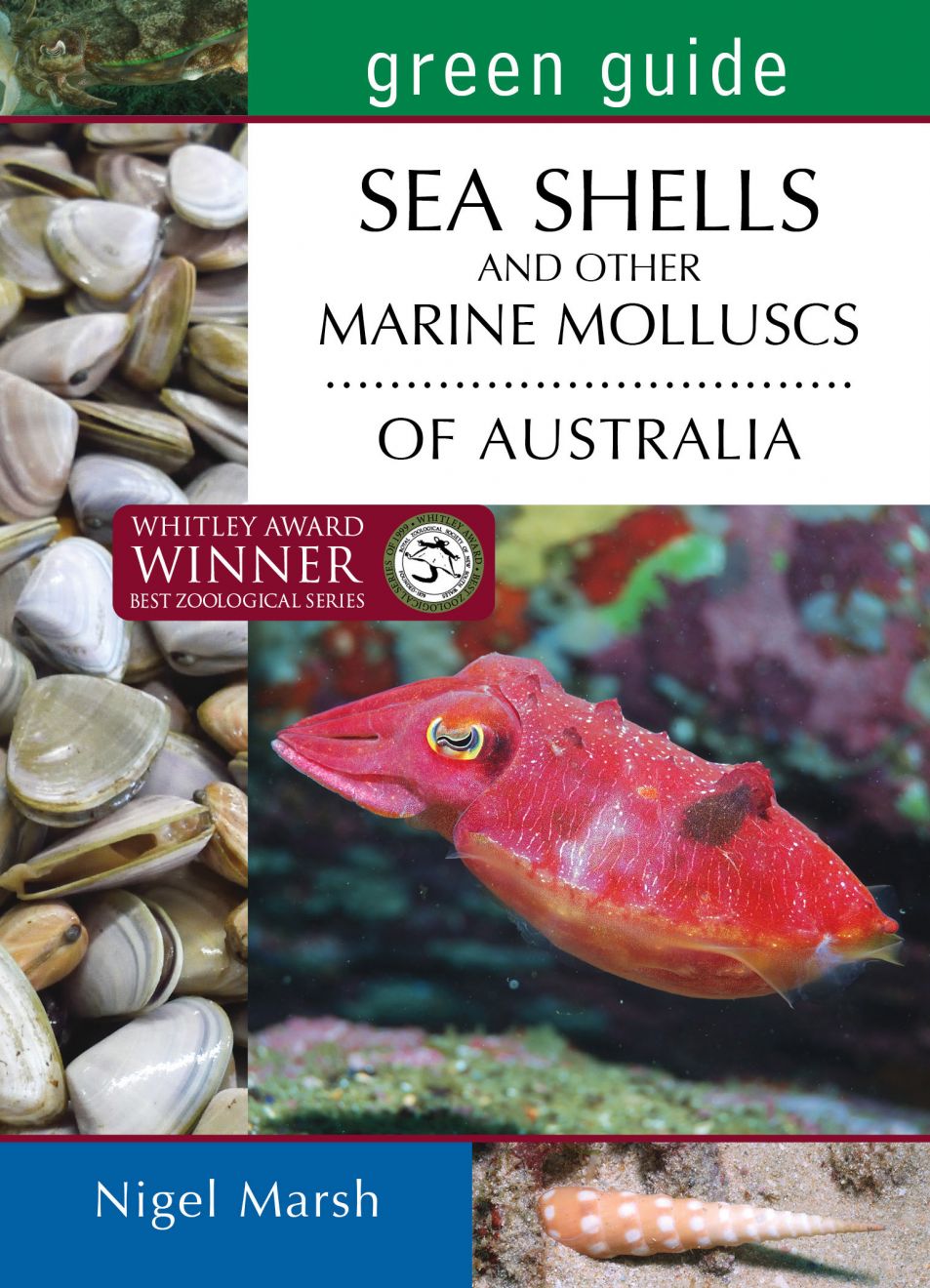Green Guide: Seashells of Australia