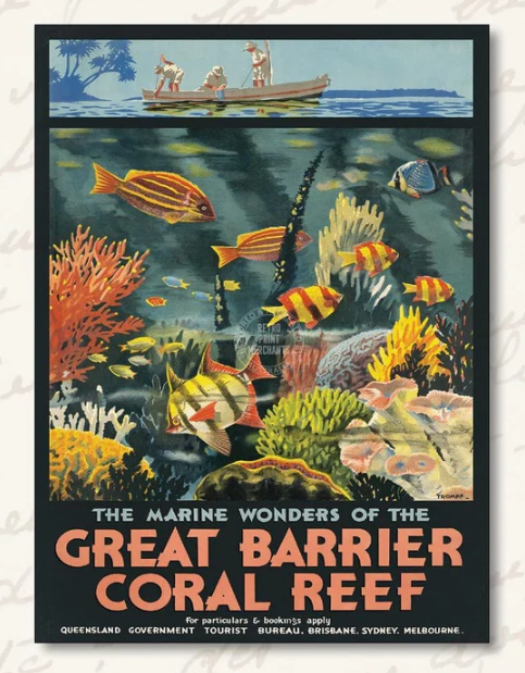 Great Barrier Coral Reef Print A3