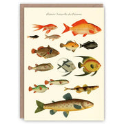 Greeting Card - History of Fish