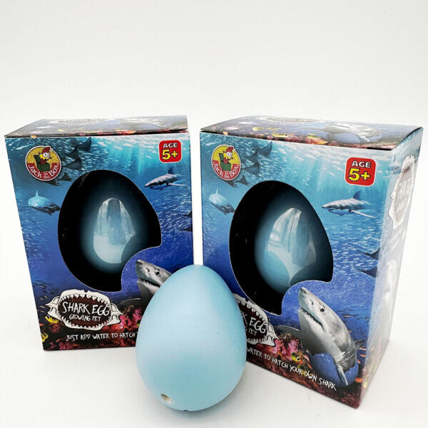 Shark Egg Growing Pet