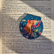 Magnetic Bookmark - Cuttlefish