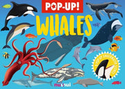Nature's Pop-Ups: Whales & Dolphins