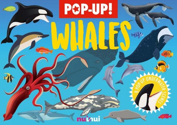 Nature's Pop-Ups: Whales & Dolphins