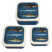 Rex London Snack Box Set of 3 - Sharks