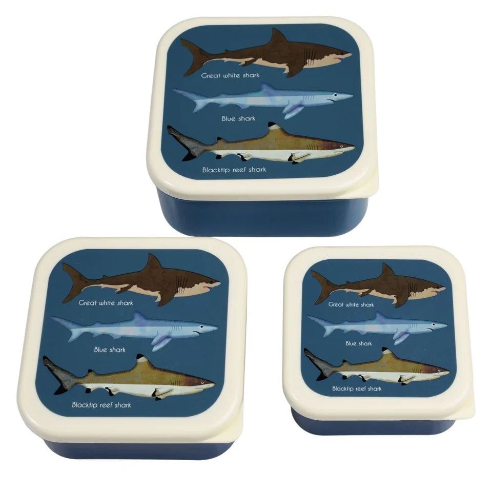 Rex London Snack Box Set of 3 - Sharks