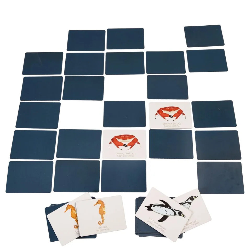 Rex London Memory Game - Ocean