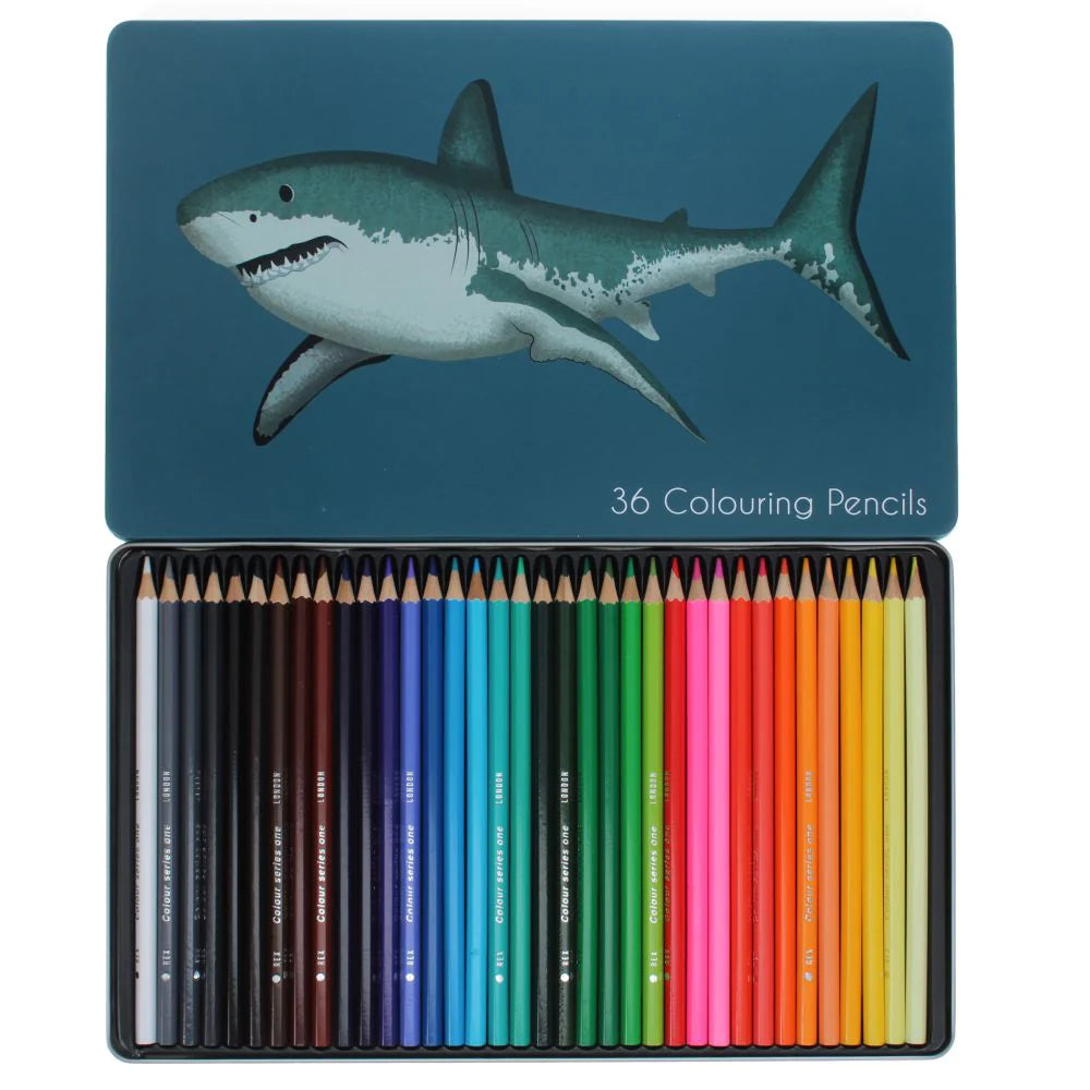 36 Pack Colouring Pencils - Shark