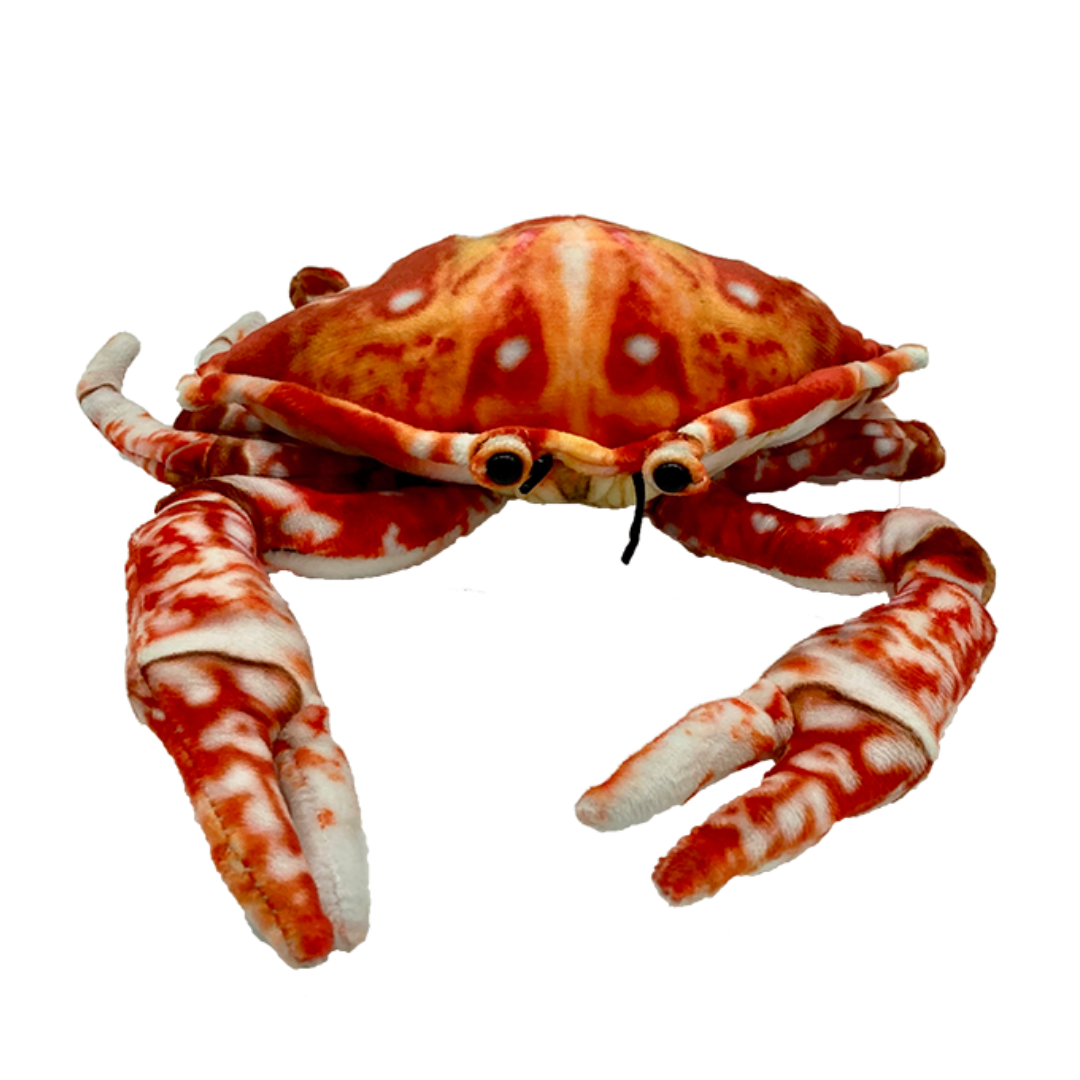Red Crab Plush Toy