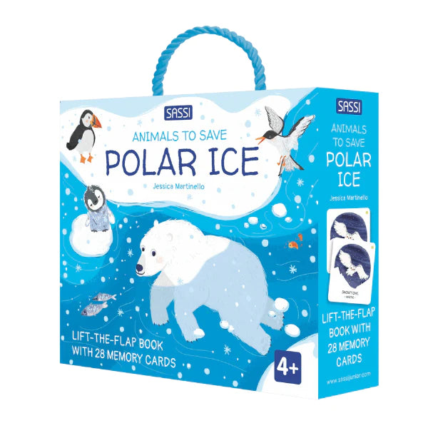 Memory Matching - Polar Ice