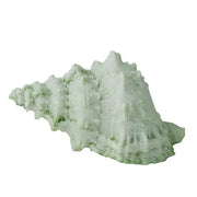 Sea Snail Resin Shell 14x10x7cm Mint - Coast to Coast