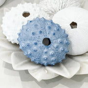 Spiky Urchin Coral Resin 9x4.5x8cm Blue - Coast to Coast
