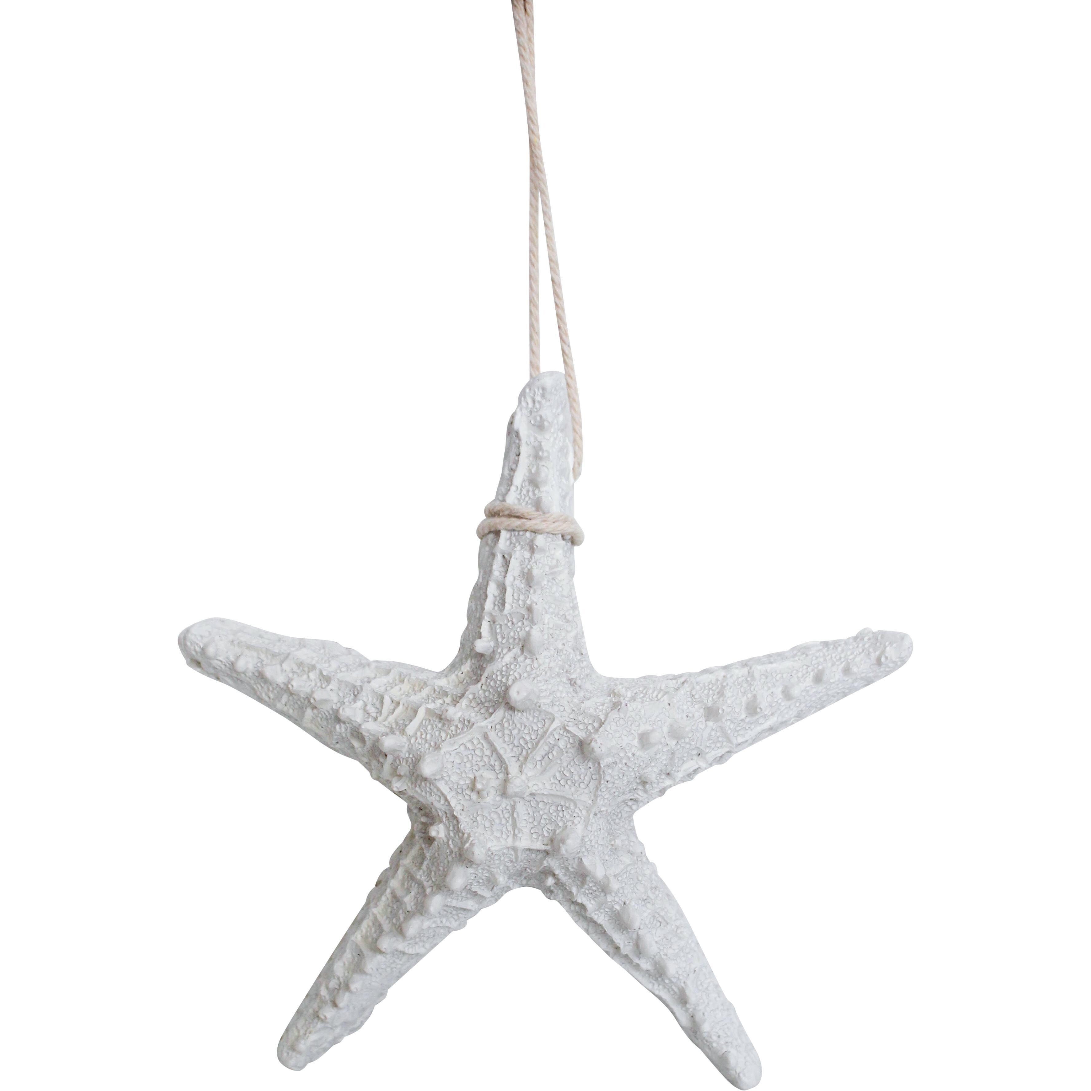 Starfish Rustic Small