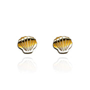 Stud Earrings - Shell Gold