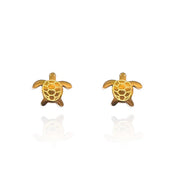Stud Earrings - Turtle Gold