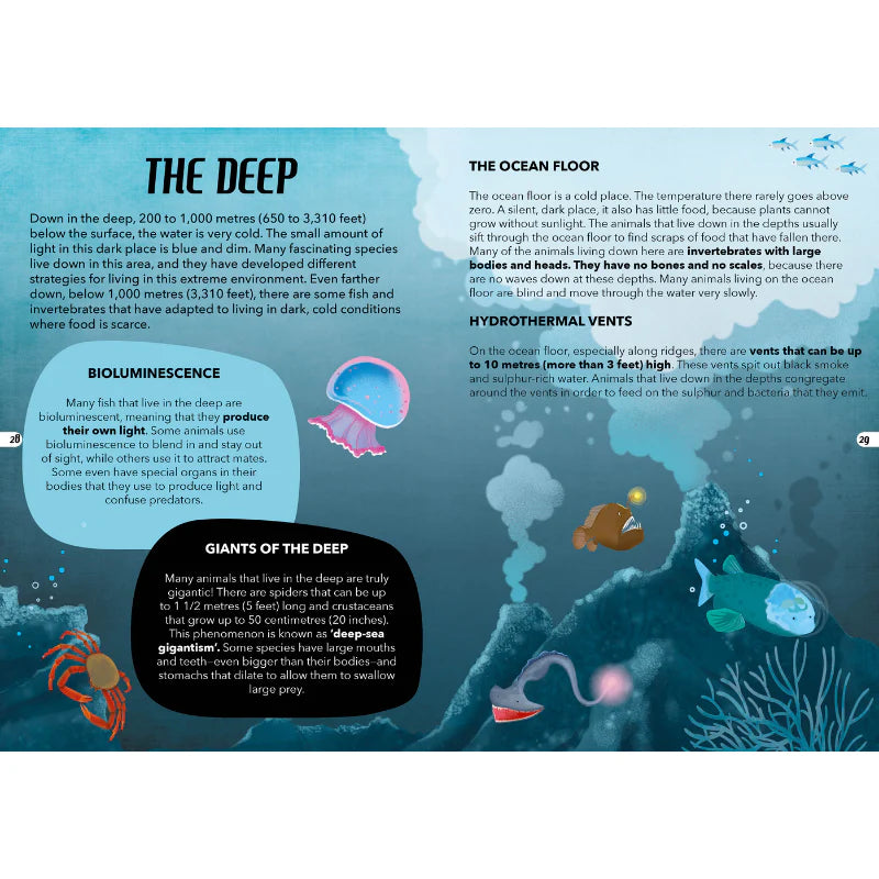 Travel, Learn & Explore The Sea Puzzle & Book