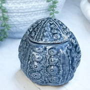 Urchin Ceramic Trinket Jar 9.5x10cm Blue - Coast to Coast