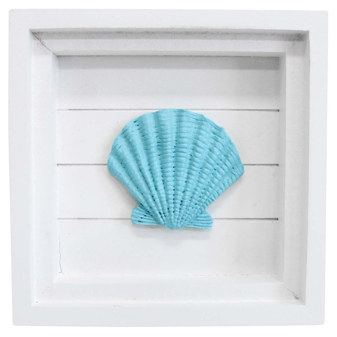 Wall Art - Seashell