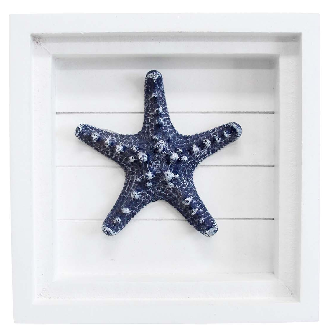Wall Art - Starfish
