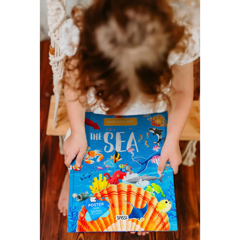 What, How, Why: The Sea