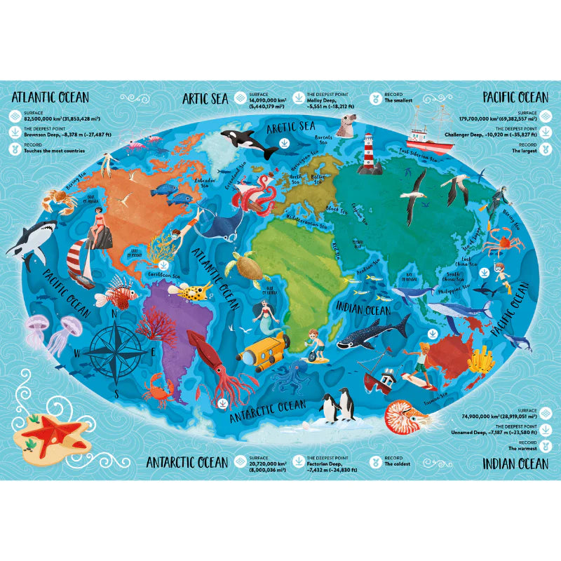 What, How, Why: The Sea