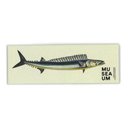 Magnet - Stackpool Collection - Baracotta