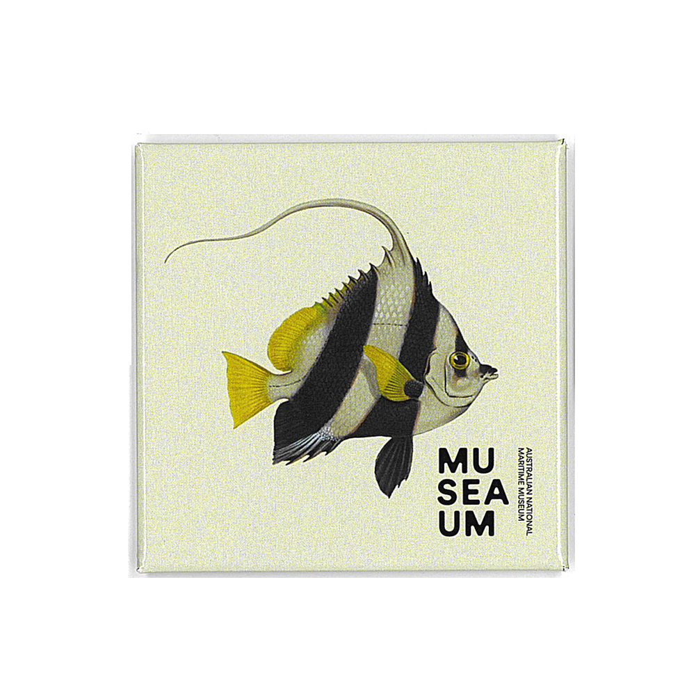 Magnet - Stackpool Collection Pennant Coralfish