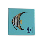 Magnet - Stackpool Collection - Batfish