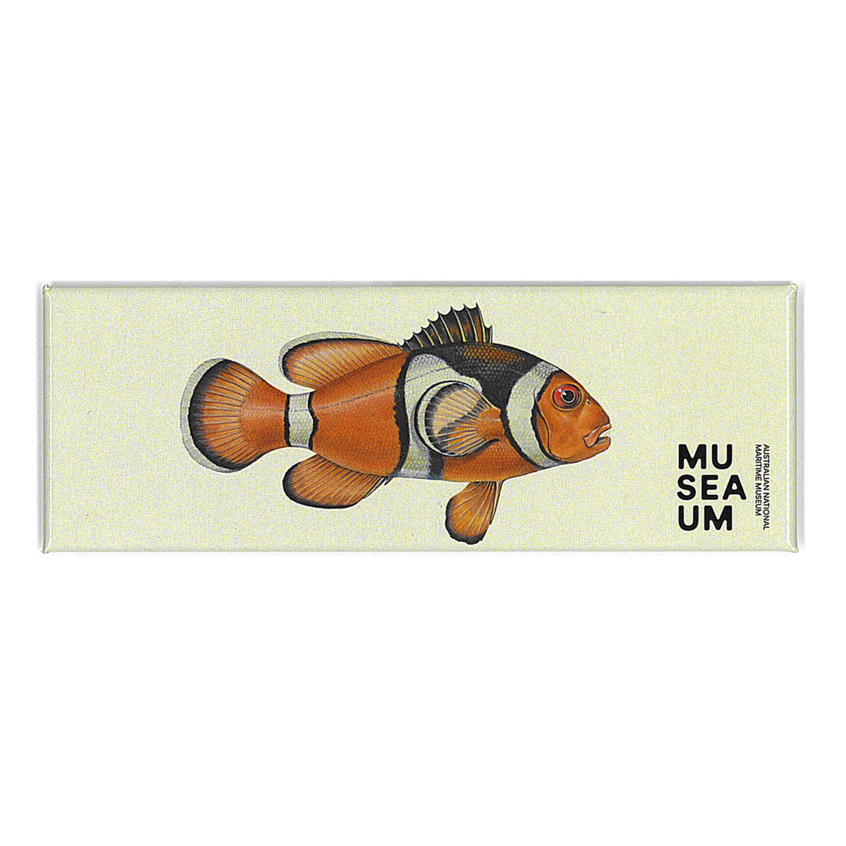 Magnet - Stackpool Collection - Orange Anemone Fish