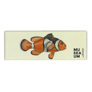 Magnet - Stackpool Collection - Orange Anemone Fish