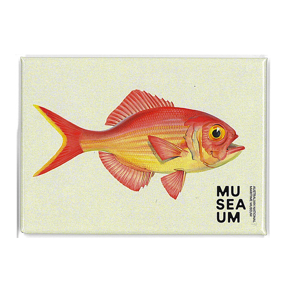 Magnet - Stackpool Collection - Goldfish