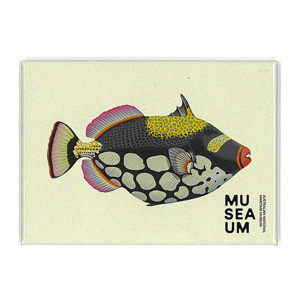 Magnet - Stackpool Collection - Clown Trigger Fish