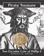 Pirate Treasure Coin Pack
