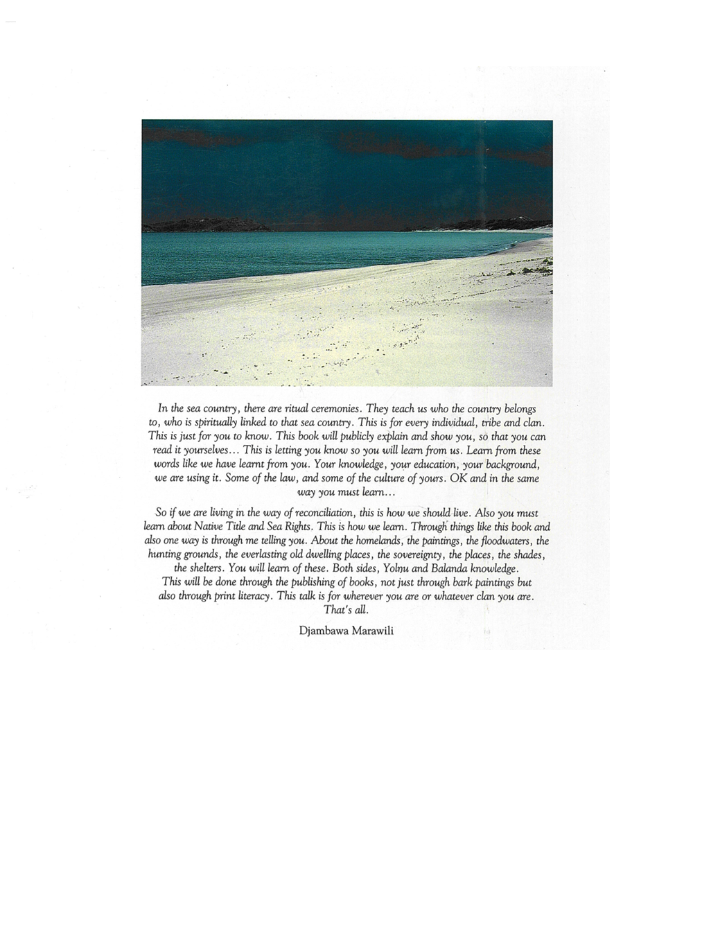 Saltwater Catalogue 1st Edition
