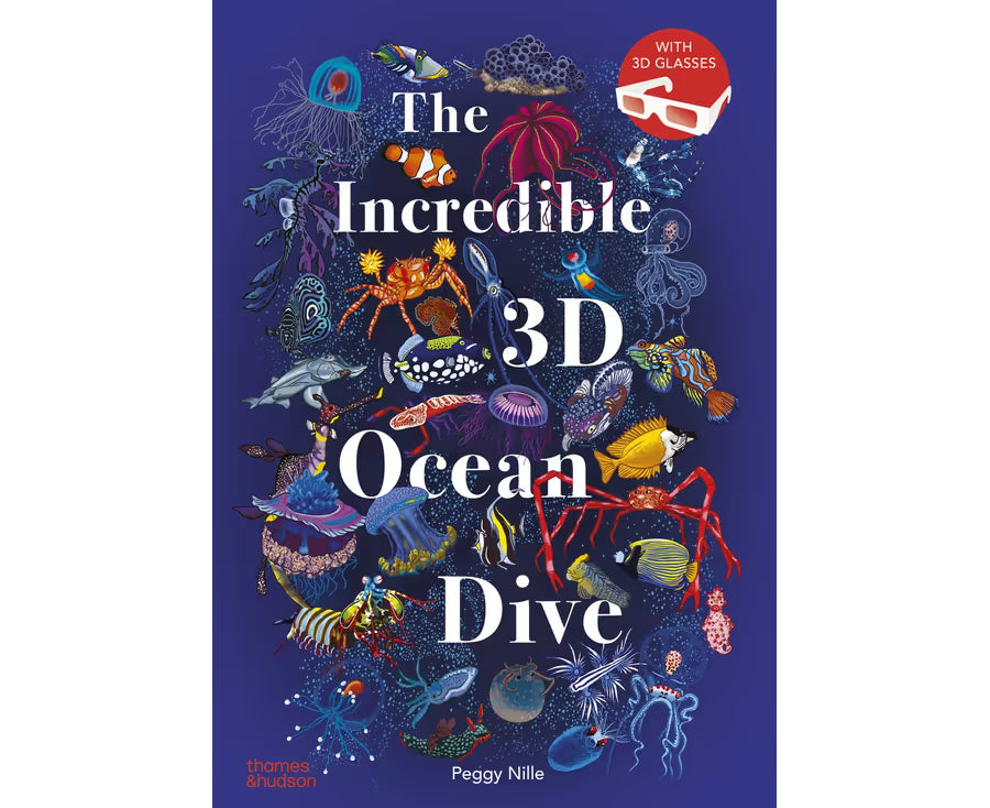 The Incredible 3D Ocean Dive