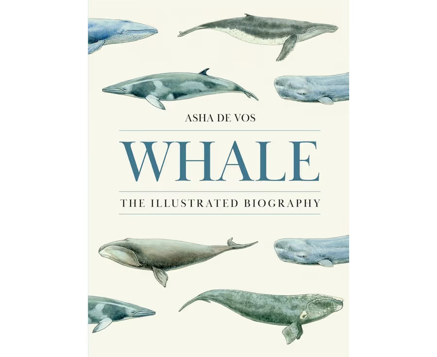 Whale: The Illustrated Biography