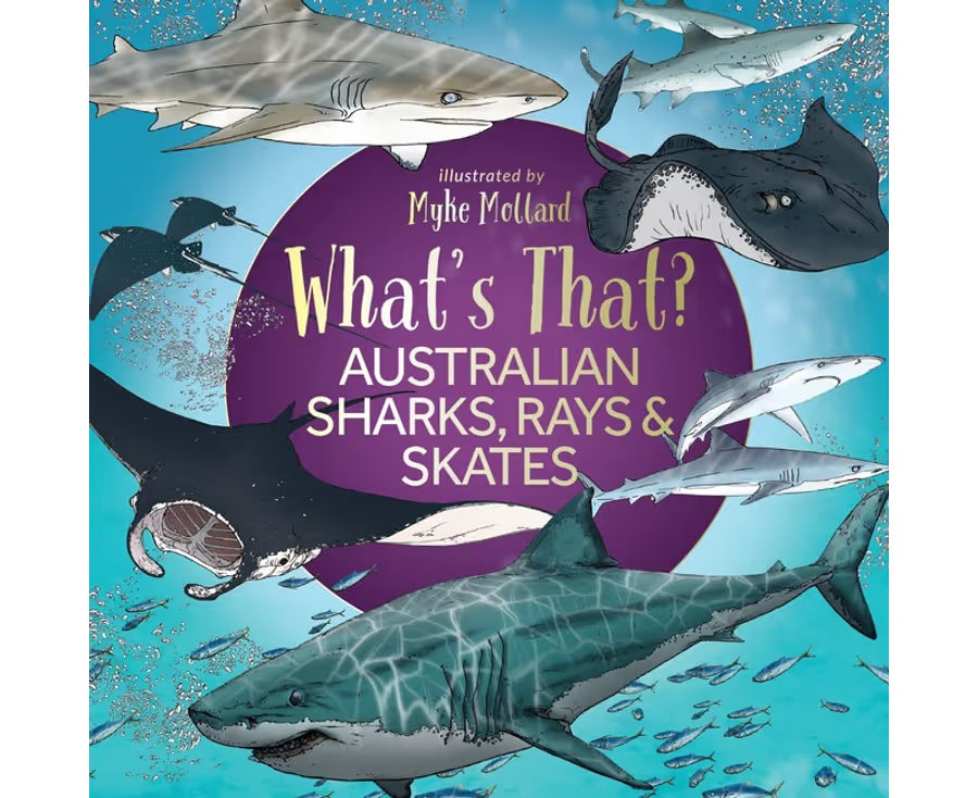What's That? Australian Sharks, Rays & Skates